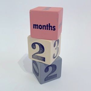 Indigo Baby Age Milestone Wood Blocks